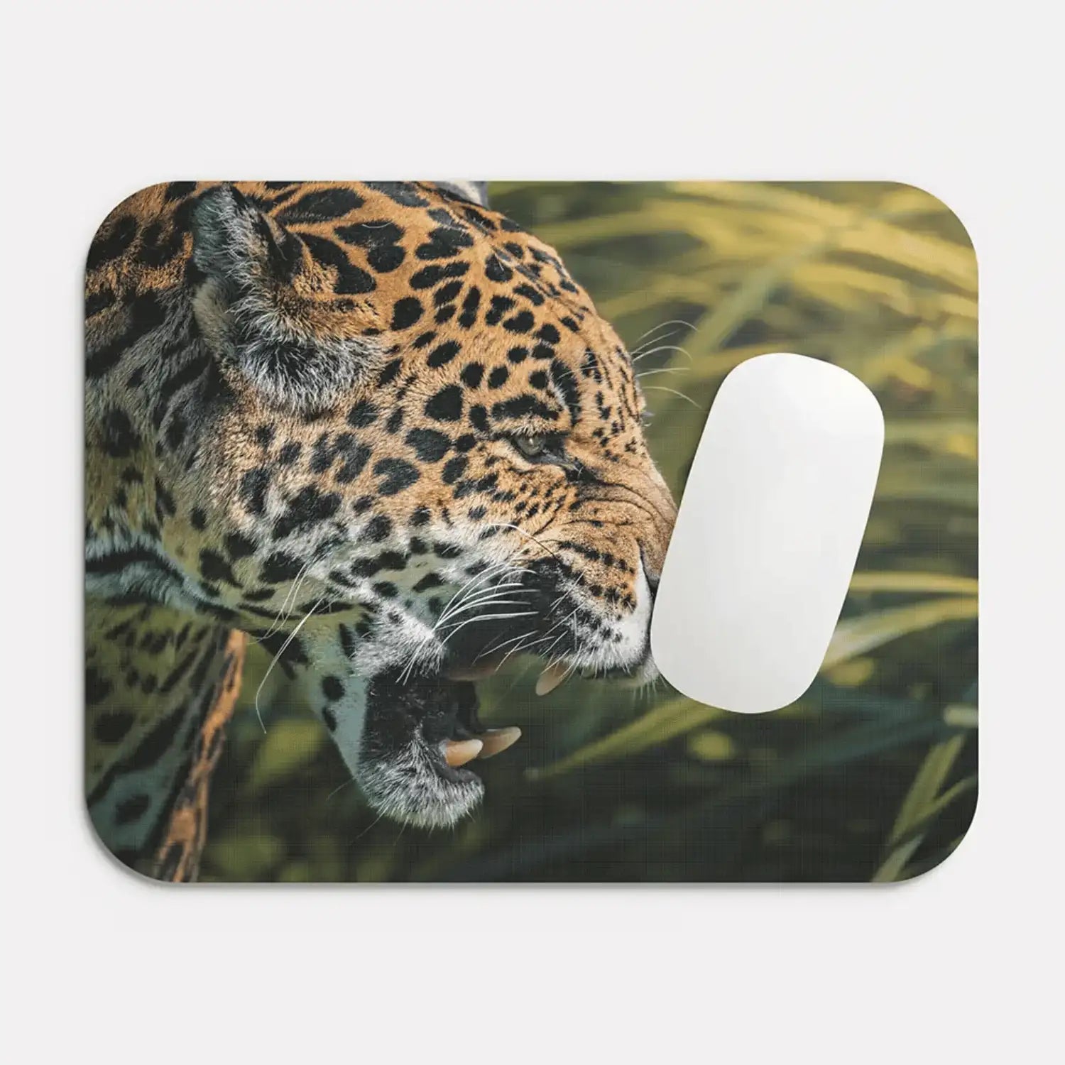 Roaring Jaguar Mouse Pad